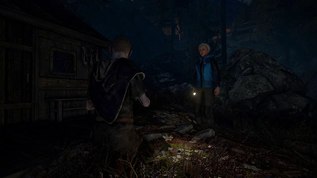 Скриншоты из Through the Woods / Картинка 21