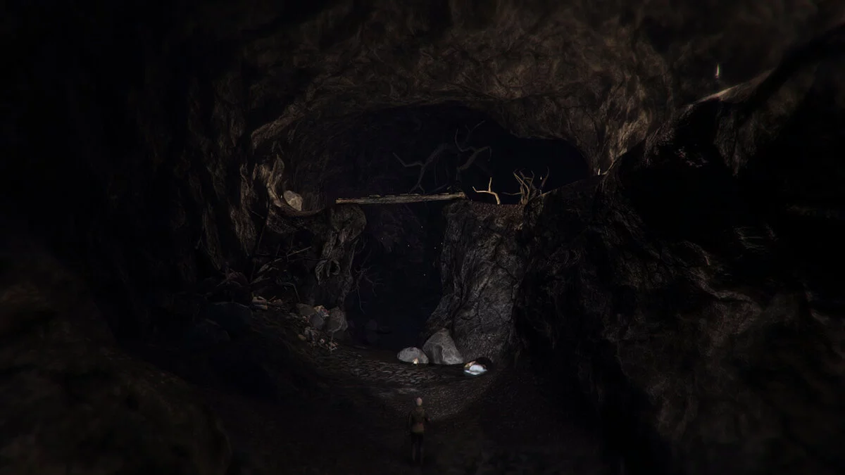 Скриншоты из Through the Woods / Картинка 4