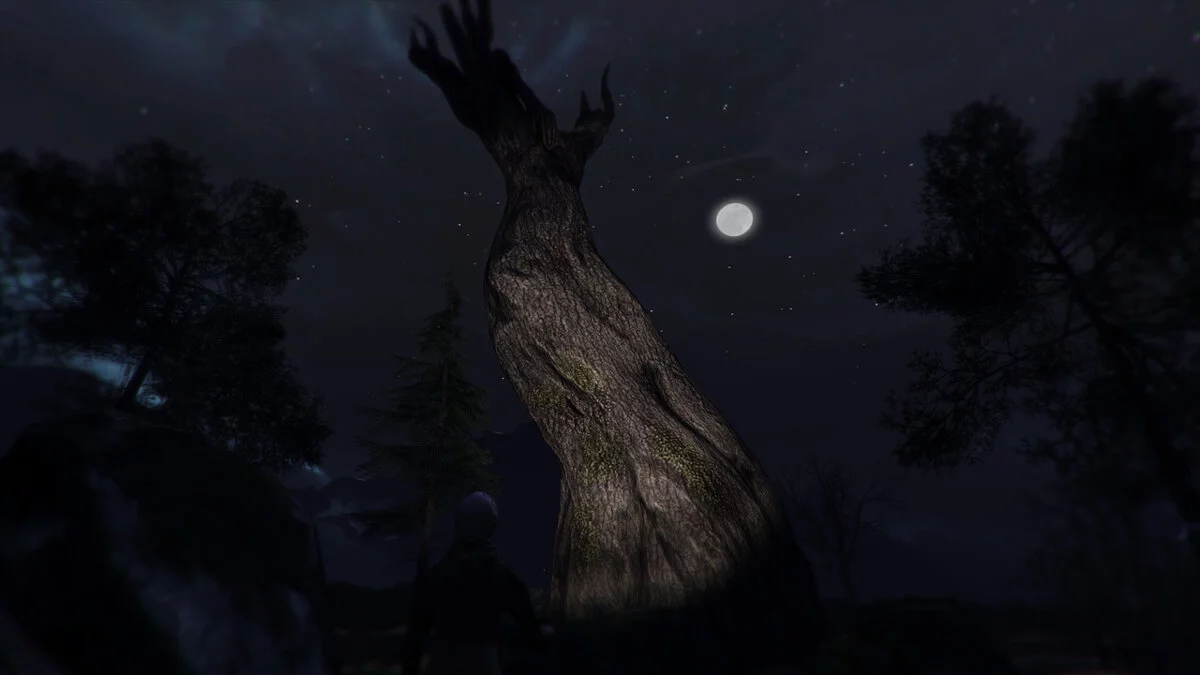 Скриншоты из Through the Woods / Картинка 5