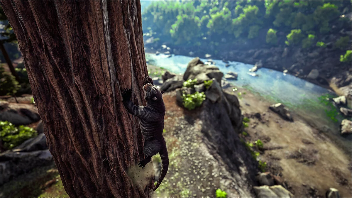Скриншоты из ARK: Survival Evolved / Картинка 142
