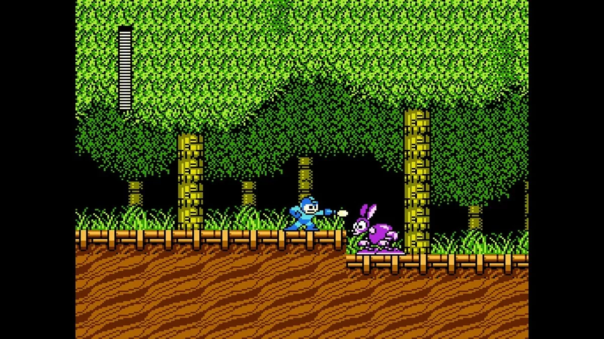Скриншоты из Mega Man Legacy Collection / Картинка 55