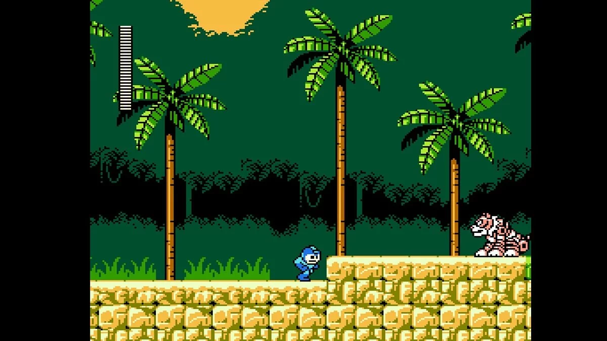 Скриншоты из Mega Man Legacy Collection / Картинка 85