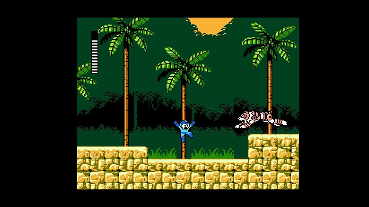 Скриншоты из Mega Man Legacy Collection / Картинка 140