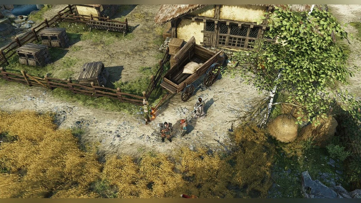 Скриншоты из Divinity: Original Sin 2 / Картинка 1