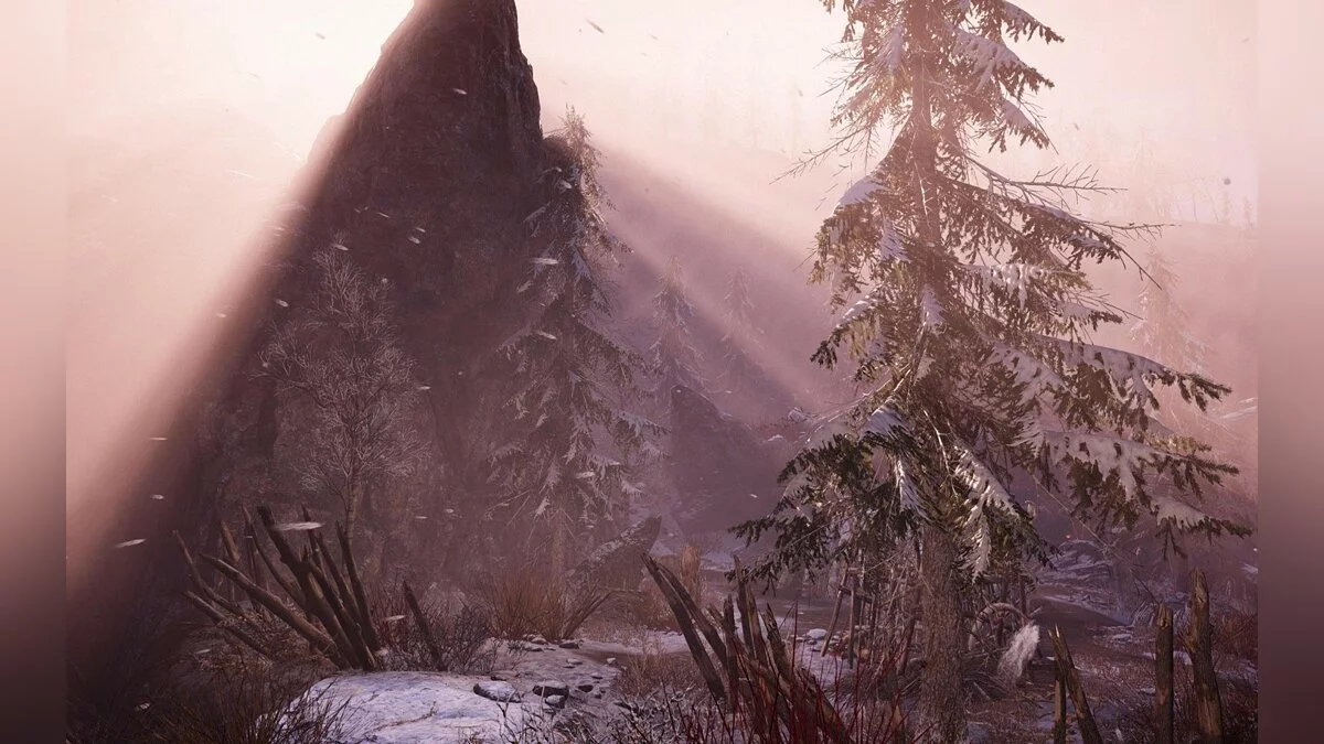 Скриншоты из Far Cry: Primal / Картинка 26