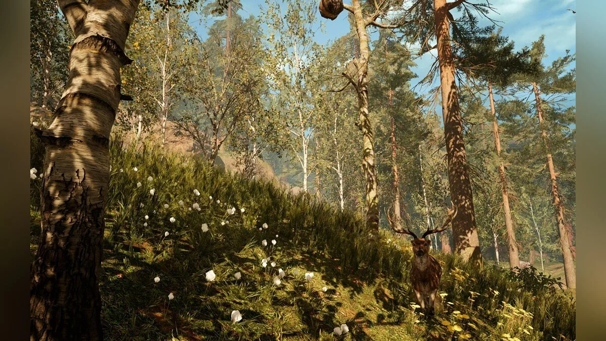 Скриншоты из Far Cry: Primal / Картинка 31