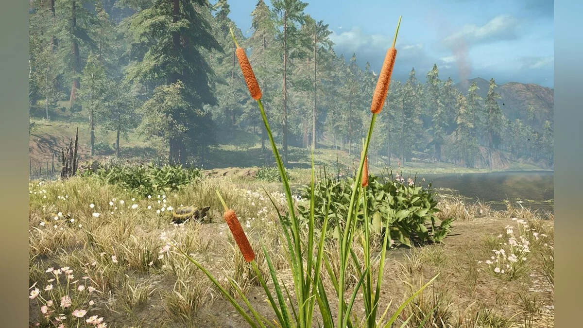 Скриншоты из Far Cry: Primal / Картинка 39