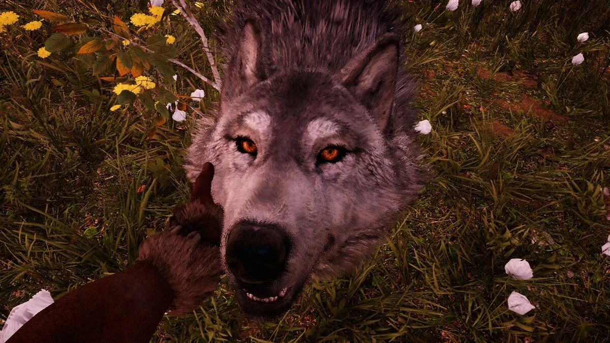 Скриншоты из Far Cry: Primal / Картинка 58