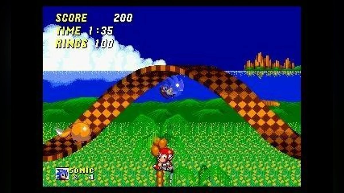 Скриншоты из 3D Sonic the Hedgehog 2 / Картинка 3