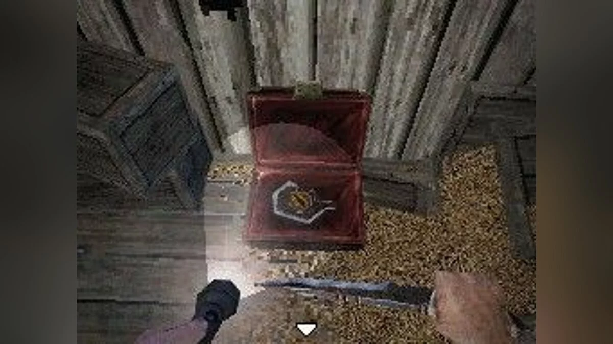 Скриншоты из Dementium 2 / Картинка 4