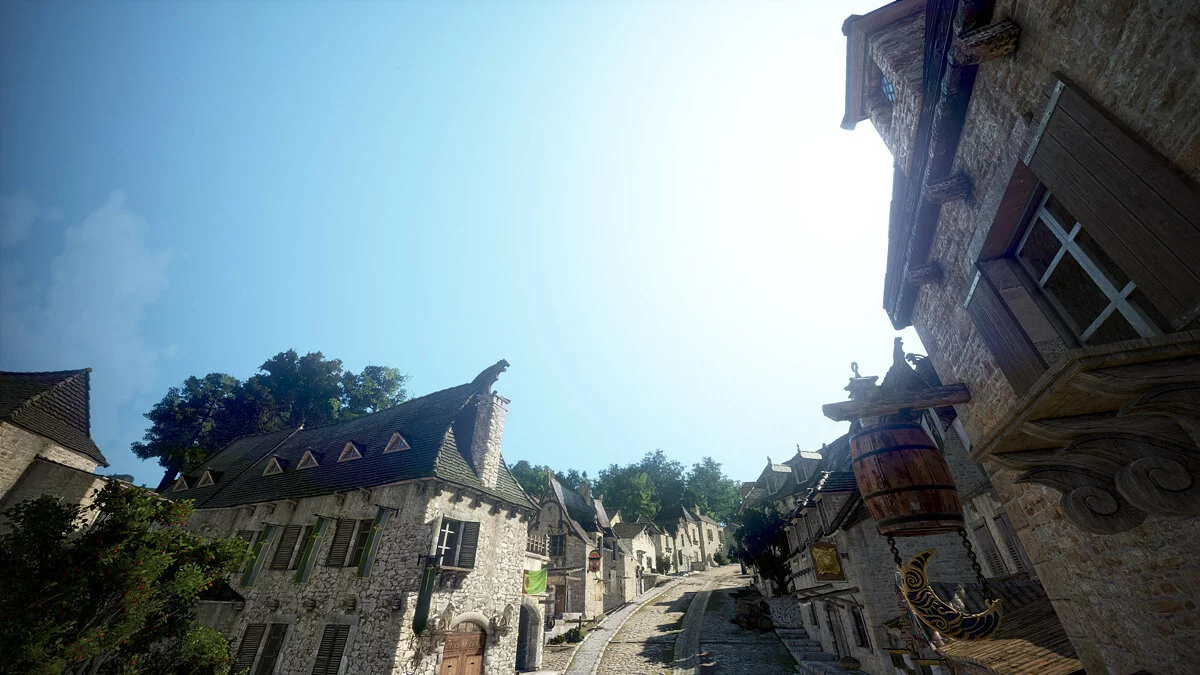 Скриншоты из Black Desert / Картинка 248