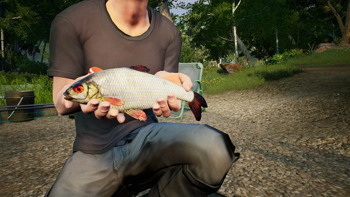 Скриншоты из Euro Fishing / Картинка 73