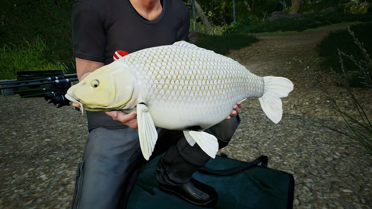 Скриншоты из Euro Fishing / Картинка 75