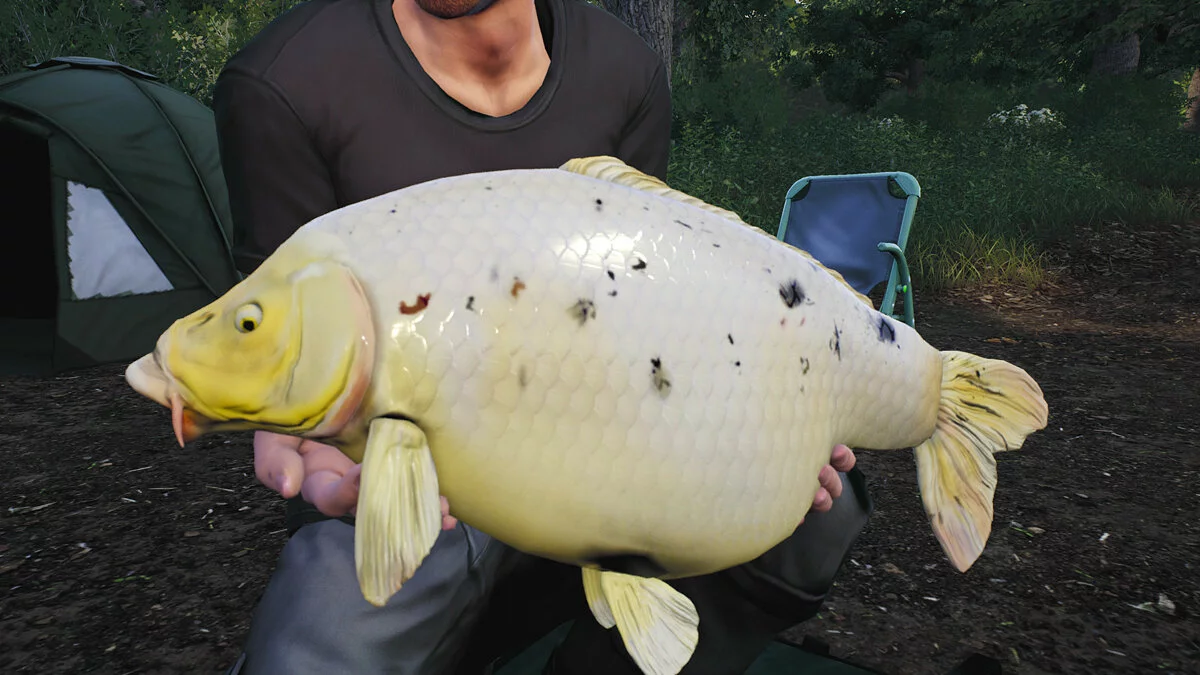 Скриншоты из Euro Fishing / Картинка 83