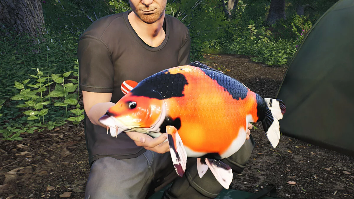 Скриншоты из Euro Fishing / Картинка 84