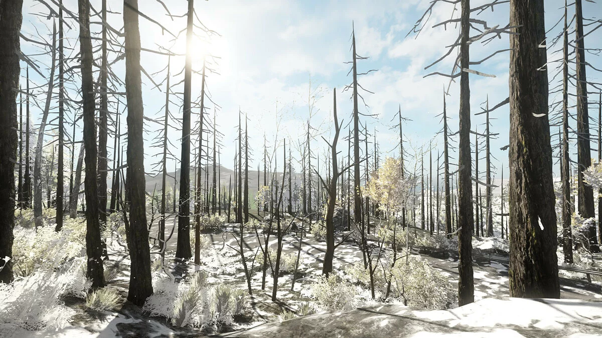 Скриншоты из Miscreated / Картинка 19