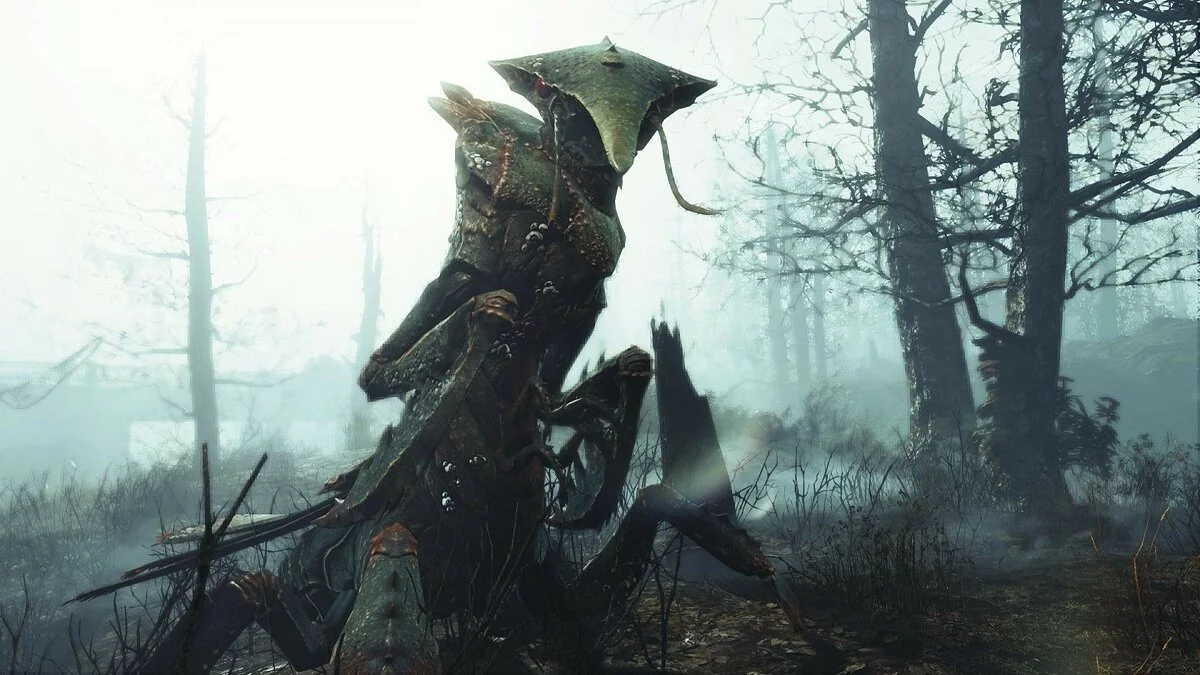 Скриншоты из Fallout 4: Far Harbor / Картинка 44