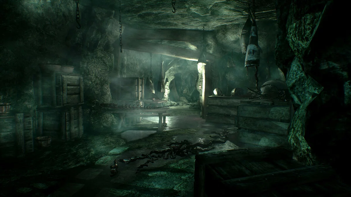 Скриншоты из Call of Cthulhu / Картинка 20