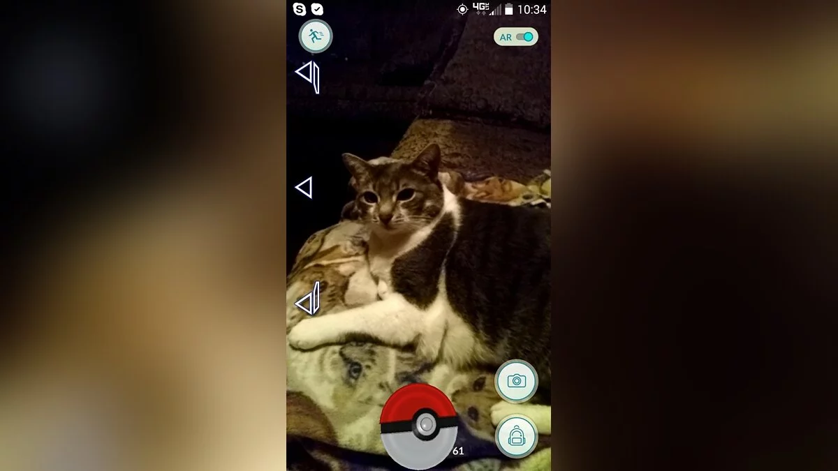 Скриншоты из Pokemon GO / Картинка 51