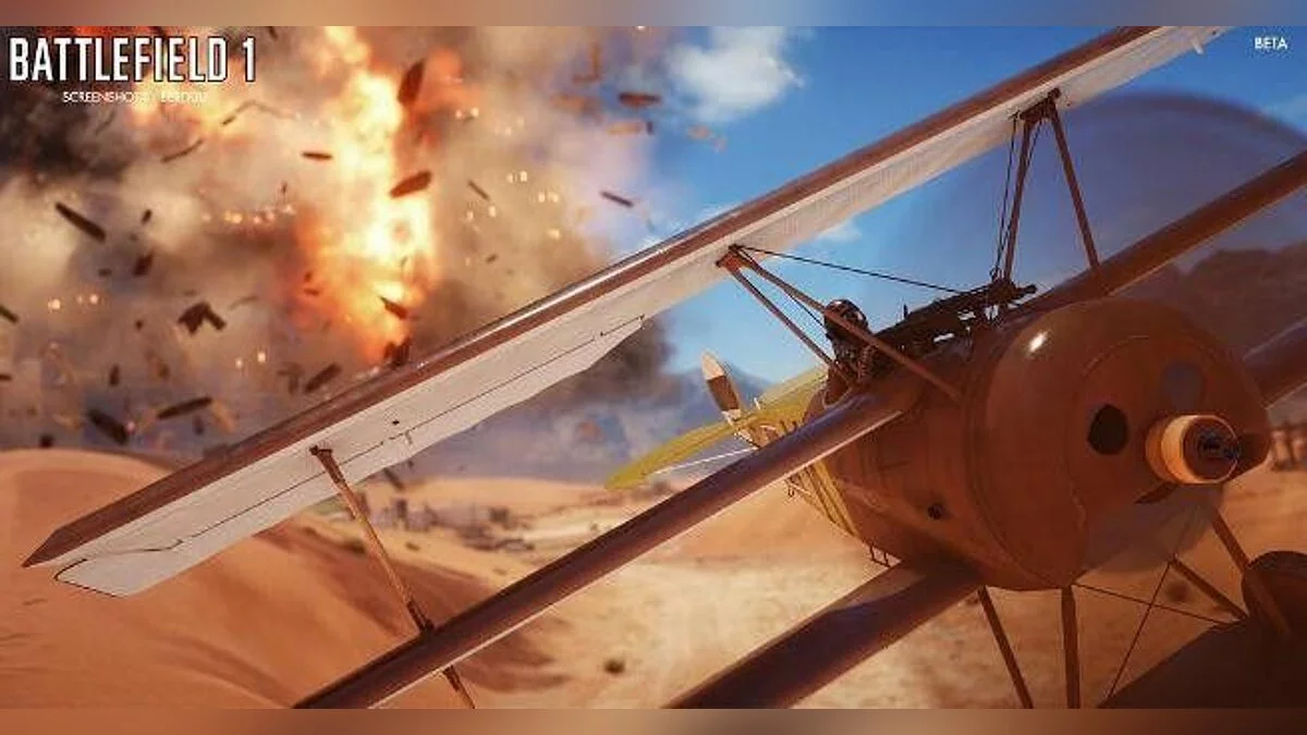 Скриншоты из Battlefield 1 / Картинка 19