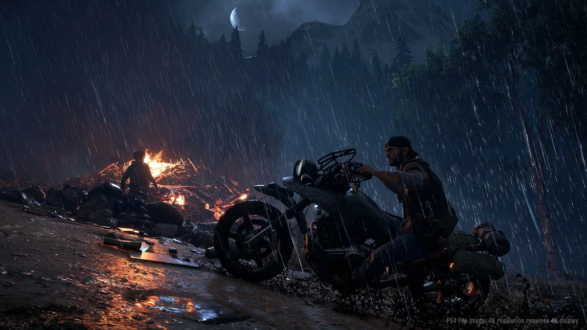 Скриншоты из Days Gone / Картинка 11