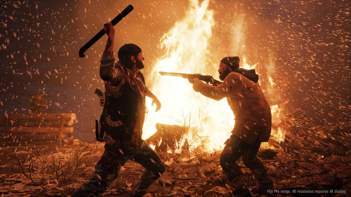 Скриншоты из Days Gone / Картинка 14