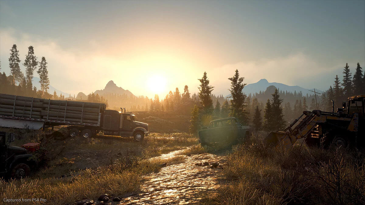 Скриншоты из Days Gone / Картинка 31