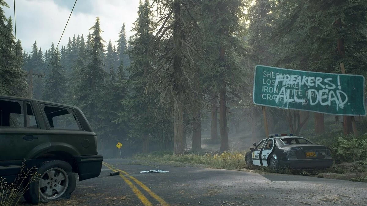 Скриншоты из Days Gone / Картинка 148