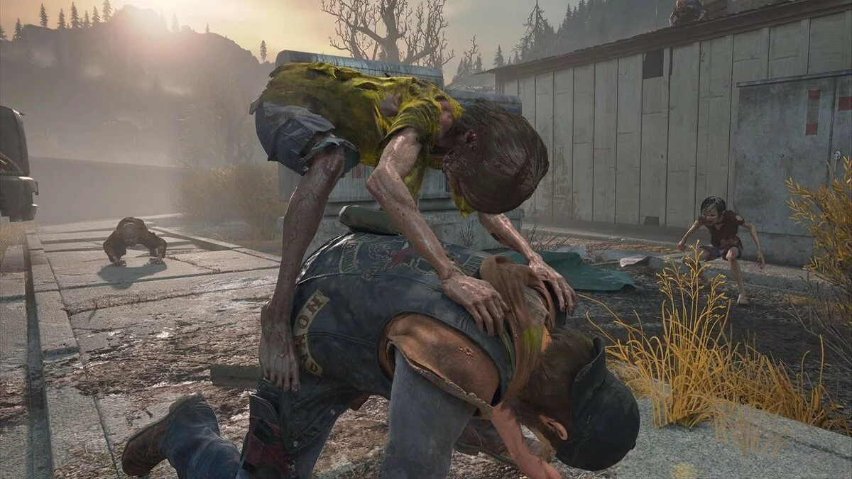 Скриншоты из Days Gone / Картинка 155