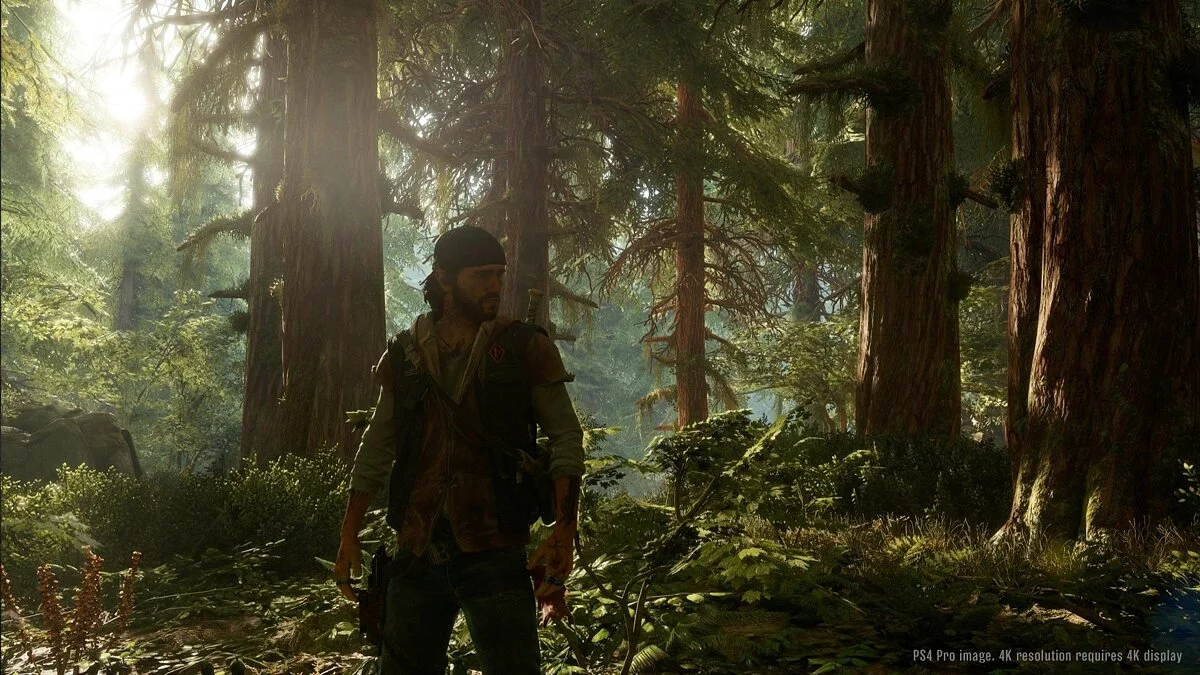 Скриншоты из Days Gone / Картинка 165