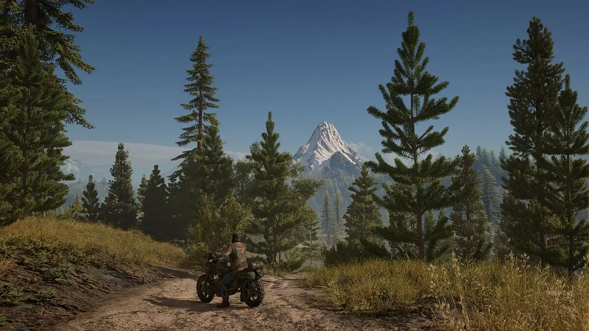 Скриншоты из Days Gone / Картинка 168