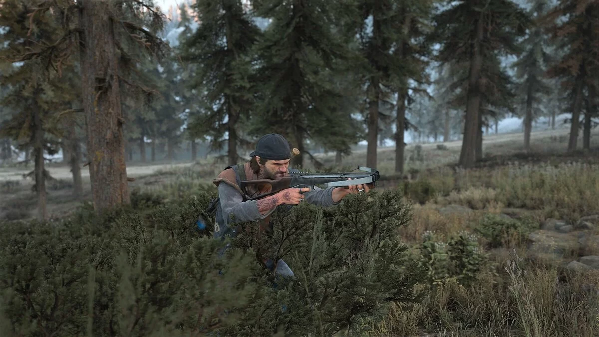 Скриншоты из Days Gone / Картинка 170