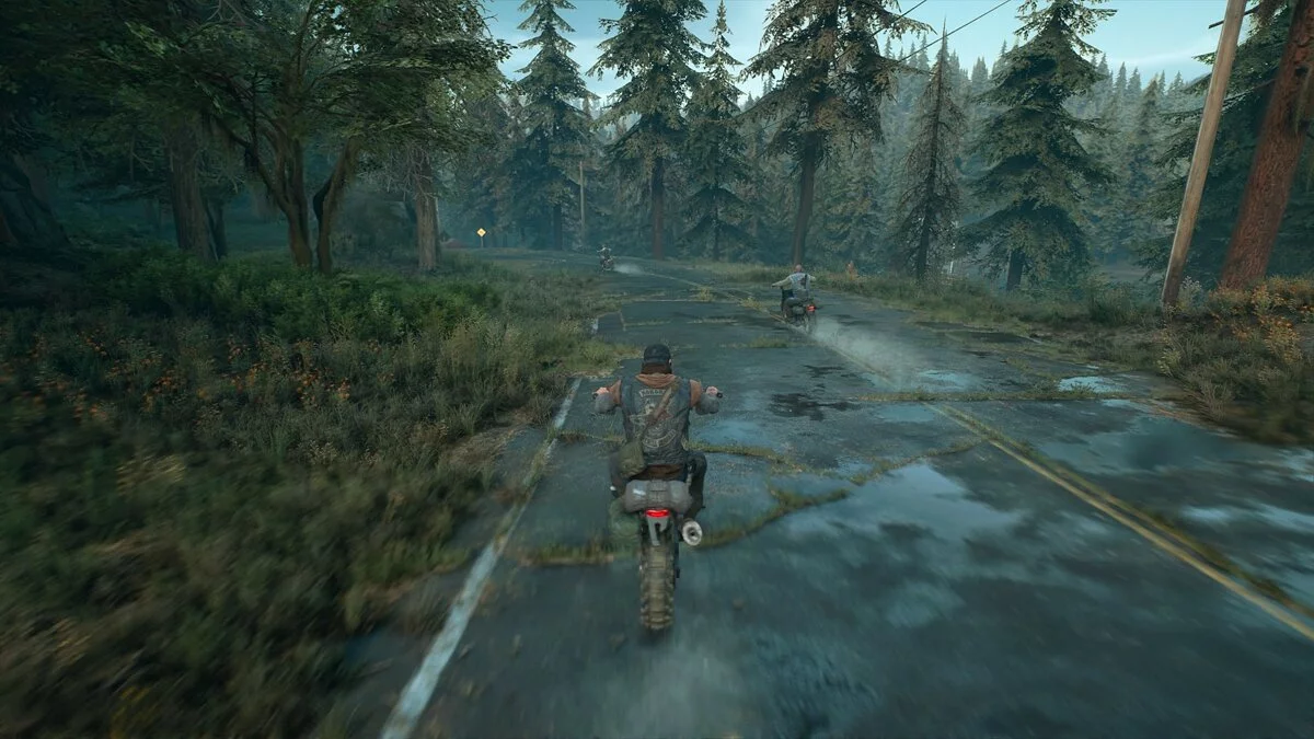 Скриншоты из Days Gone / Картинка 176