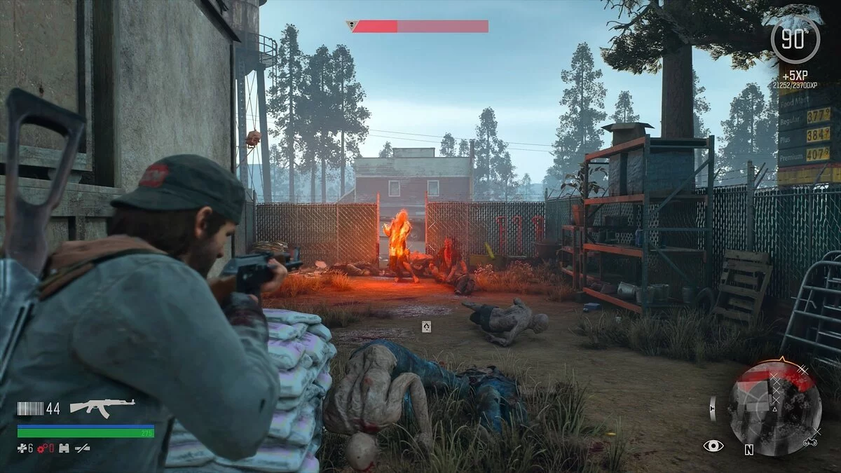 Скриншоты из Days Gone / Картинка 215