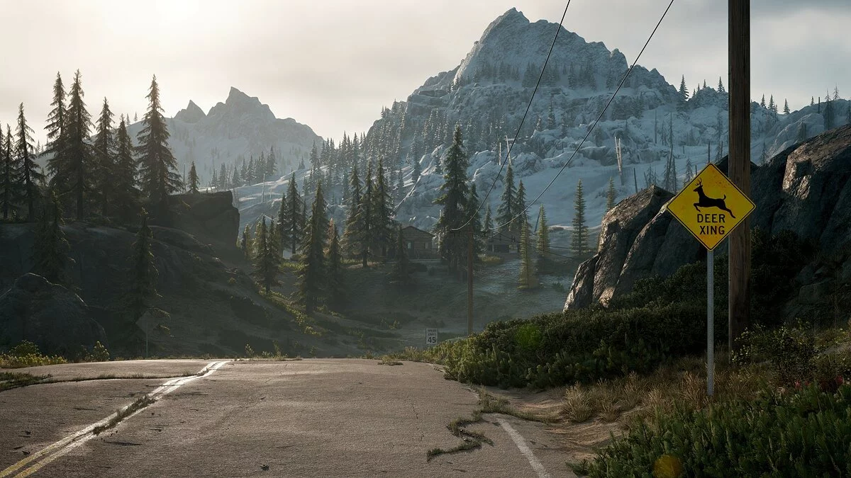 Скриншоты из Days Gone / Картинка 235