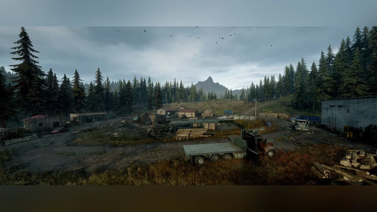 Скриншоты из Days Gone / Картинка 239