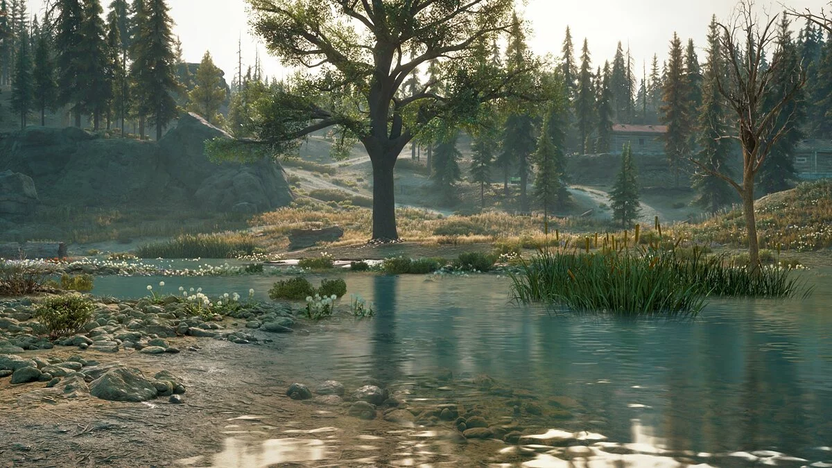 Скриншоты из Days Gone / Картинка 242