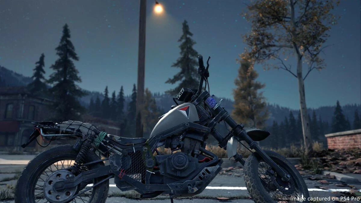 Скриншоты из Days Gone / Картинка 141