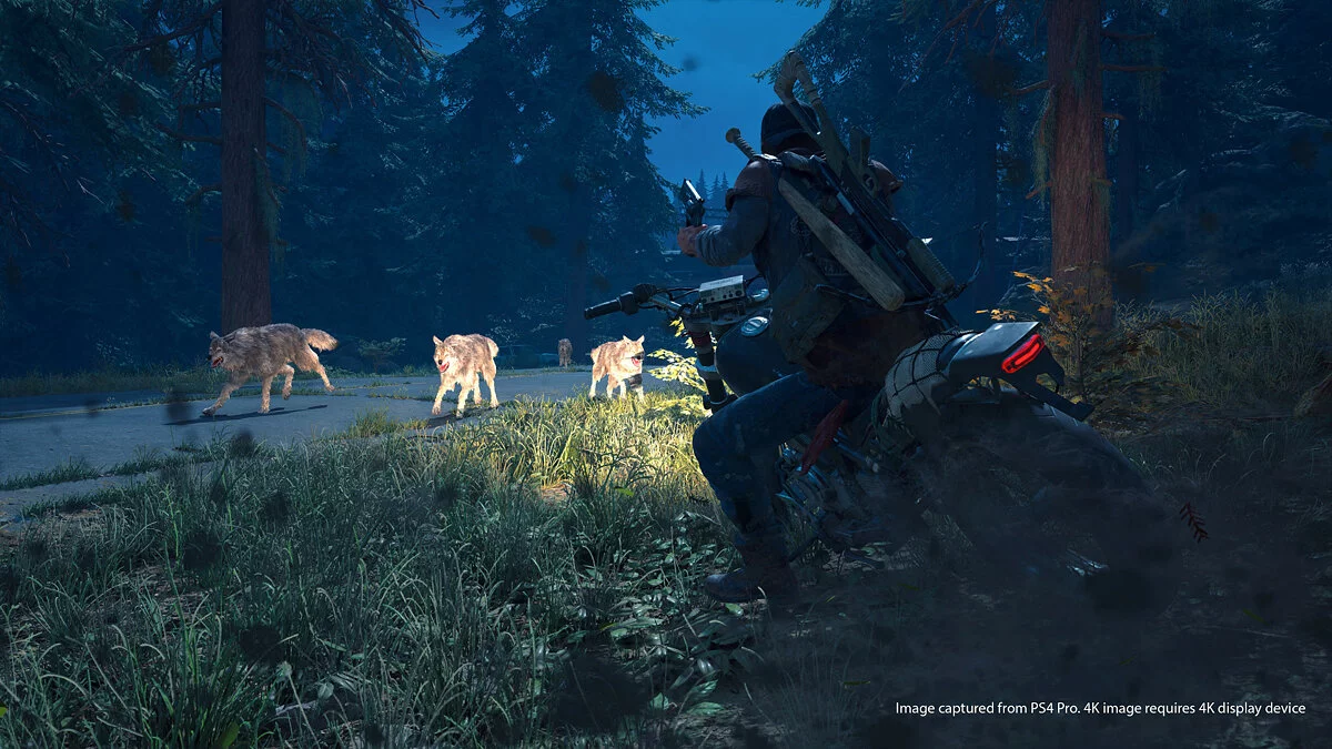 Скриншоты из Days Gone / Картинка 24