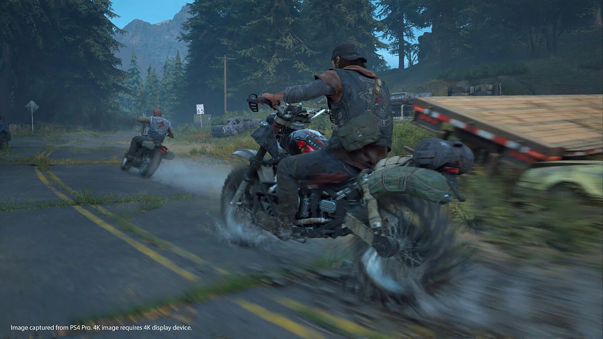Скриншоты из Days Gone / Картинка 18