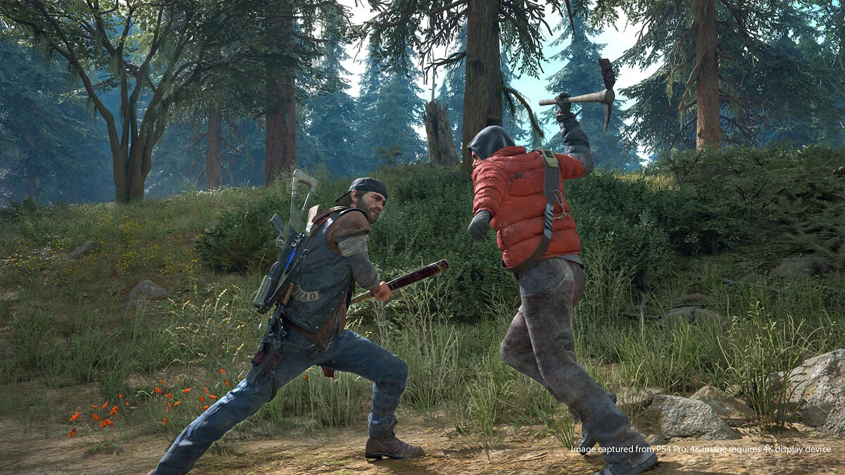 Скриншоты из Days Gone / Картинка 22