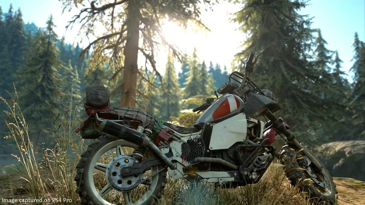 Скриншоты из Days Gone / Картинка 140