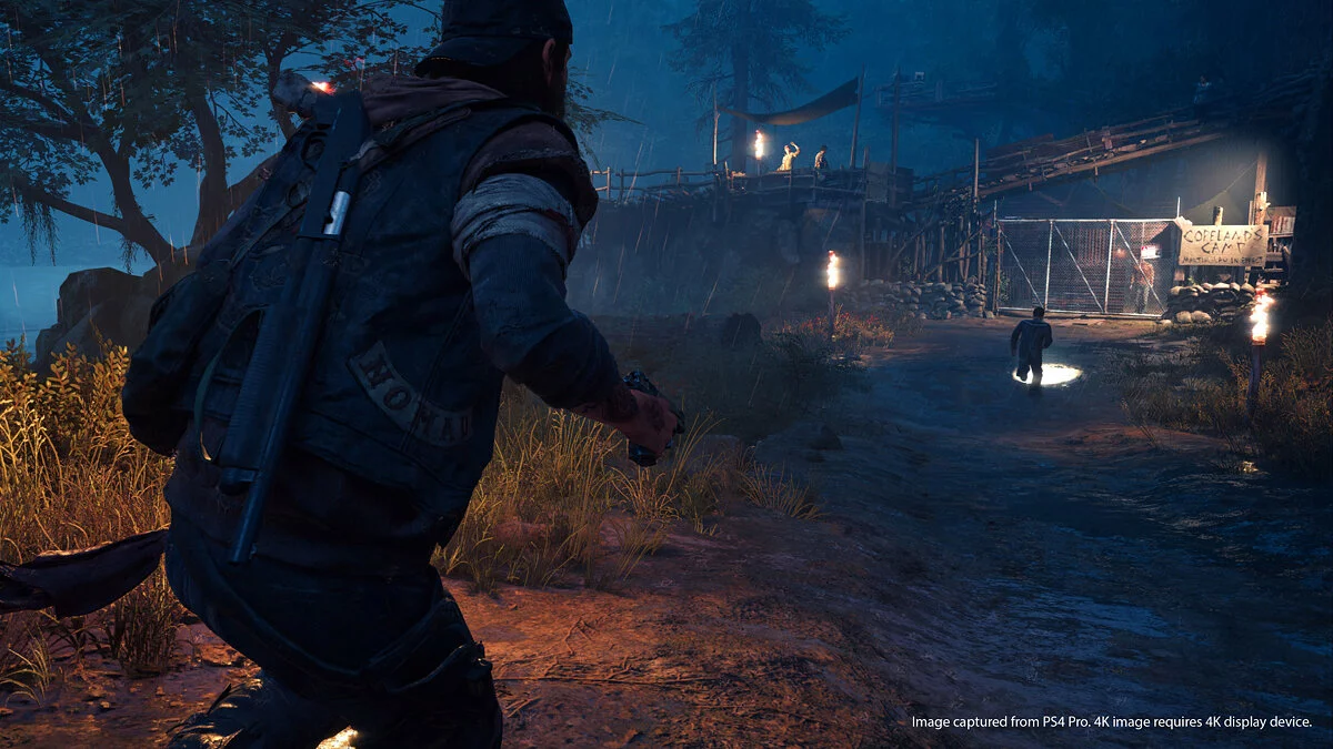 Скриншоты из Days Gone / Картинка 19