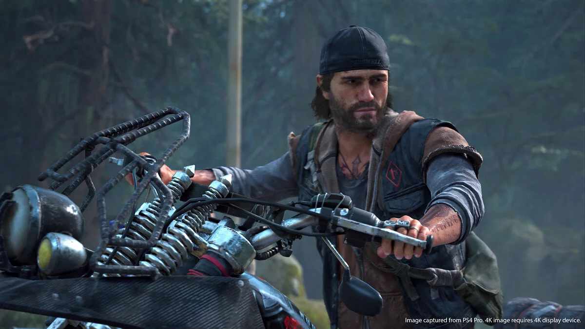 Скриншоты из Days Gone / Картинка 16