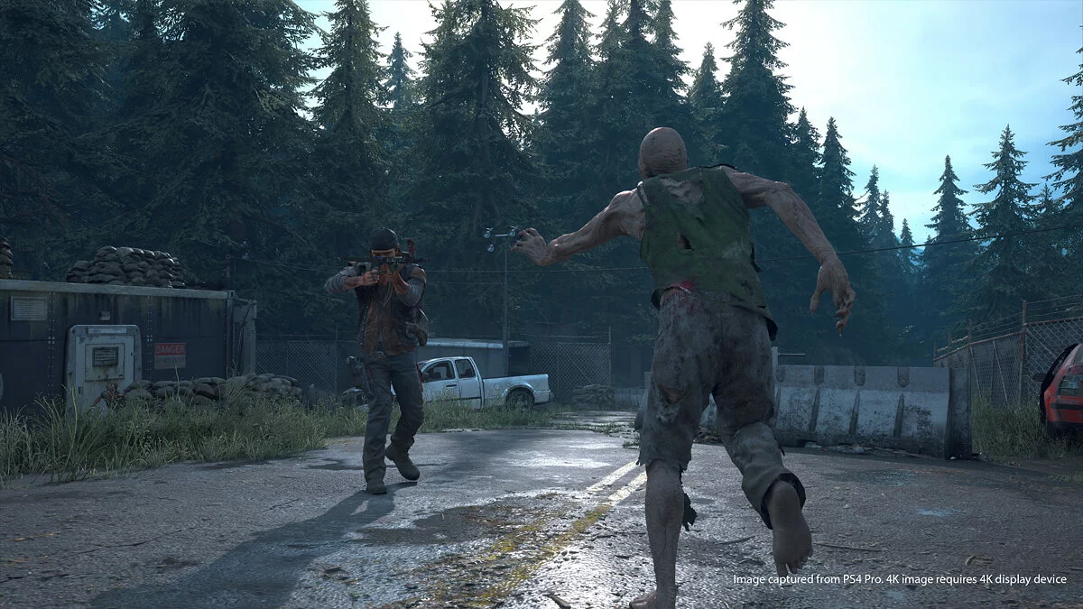 Скриншоты из Days Gone / Картинка 21