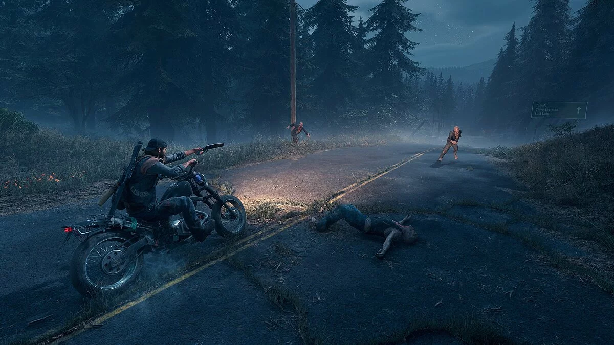 Скриншоты из Days Gone / Картинка 224