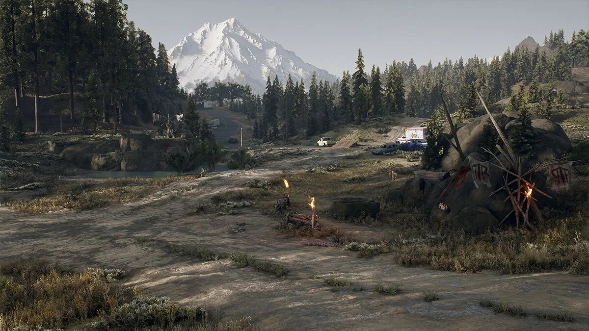 Скриншоты из Days Gone / Картинка 226