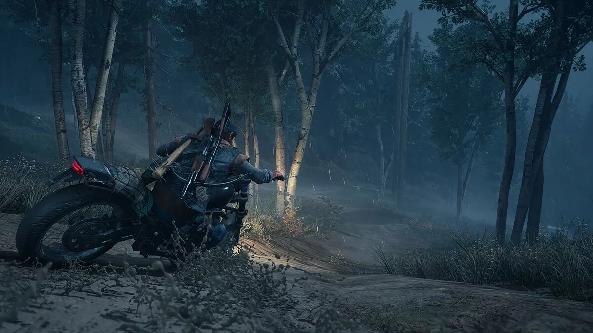 Скриншоты из Days Gone / Картинка 228