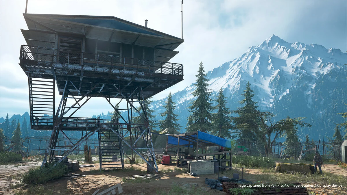 Скриншоты из Days Gone / Картинка 25
