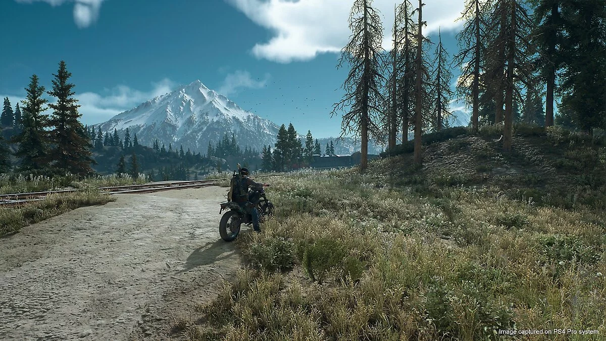 Скриншоты из Days Gone / Картинка 36